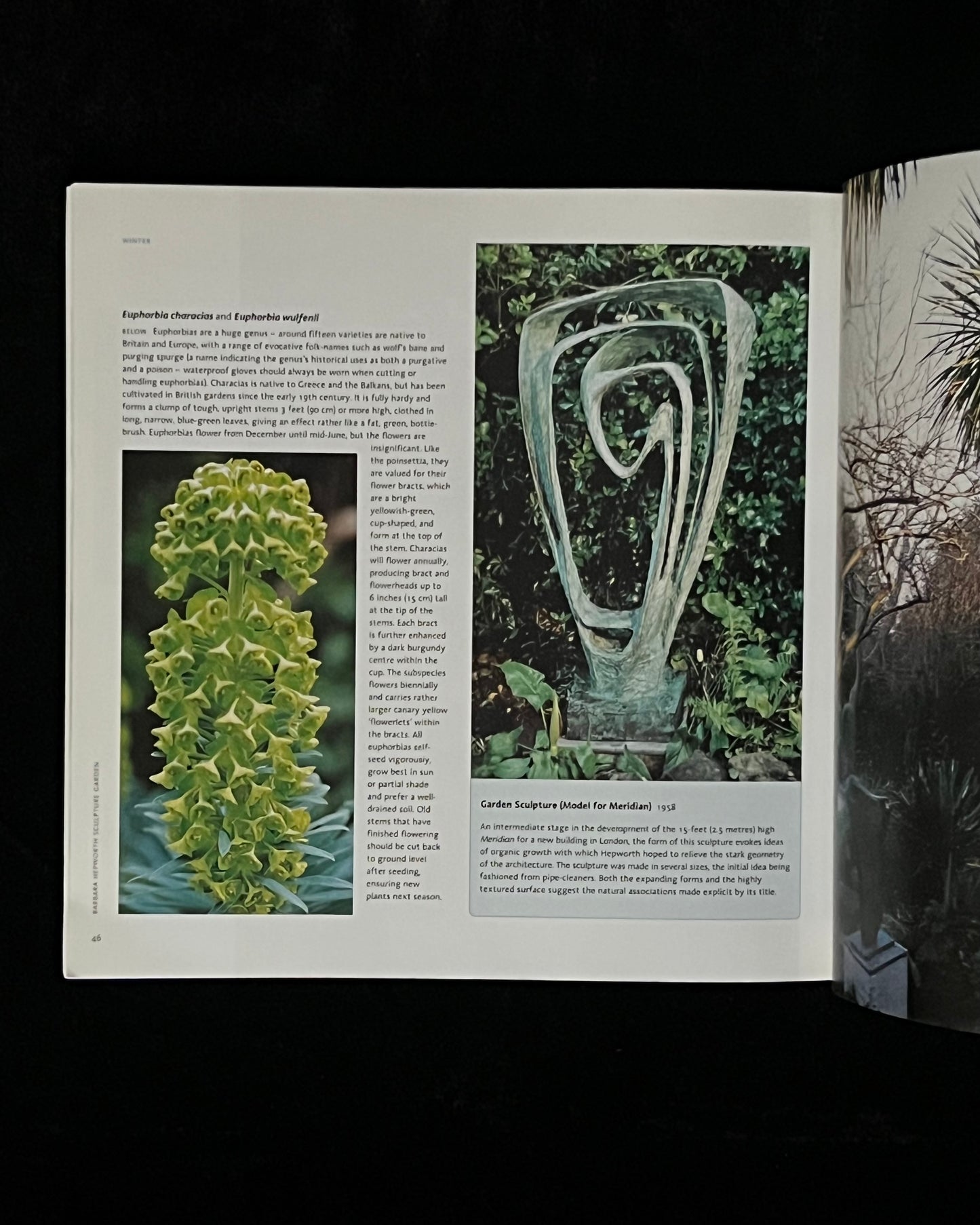 Barbara Hepworth: Sculpture Garden