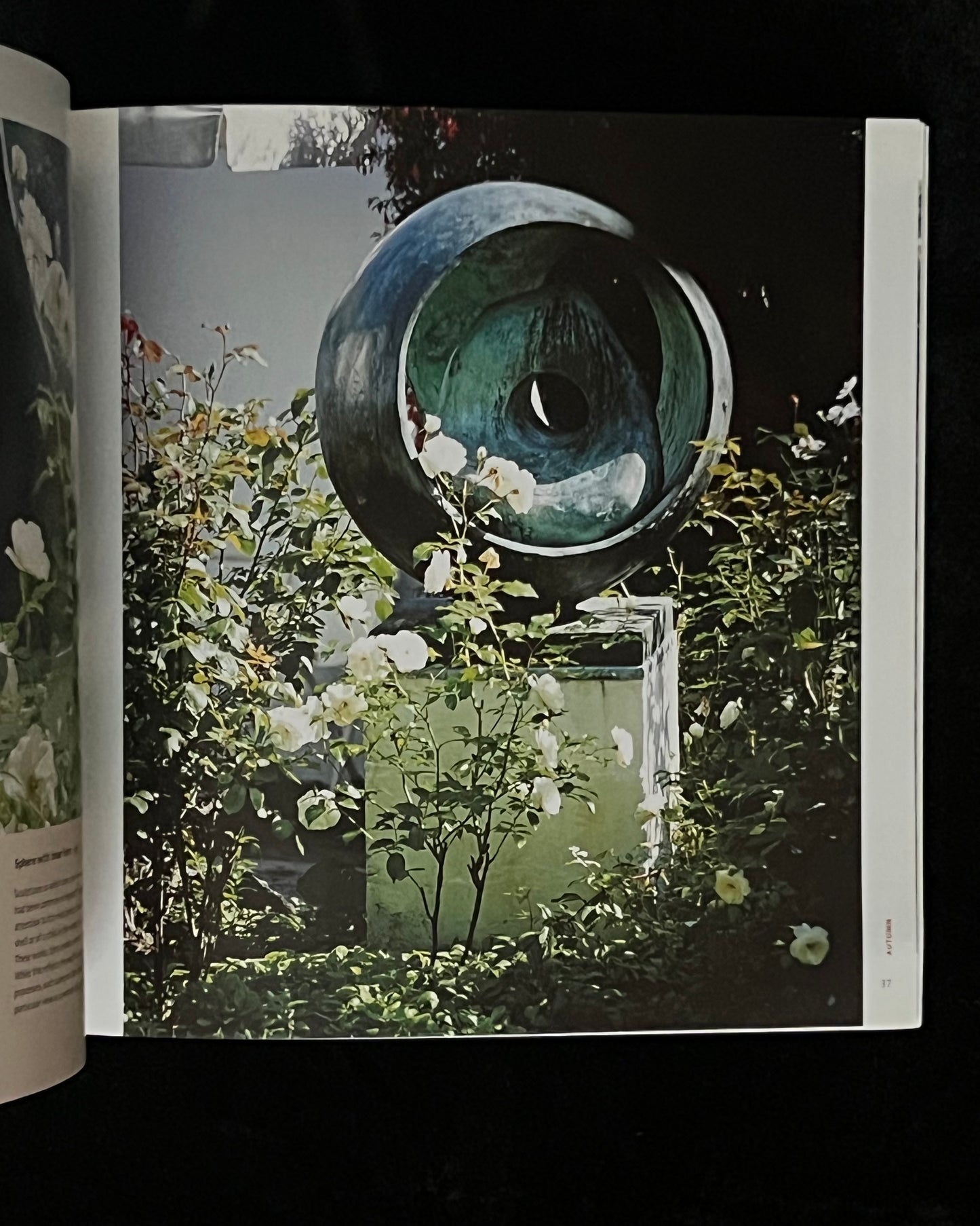 Barbara Hepworth: Sculpture Garden