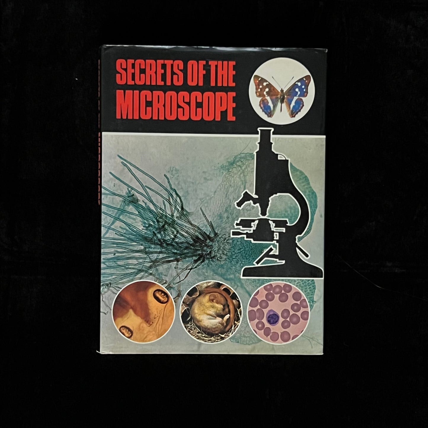 Secrets of the Microscope