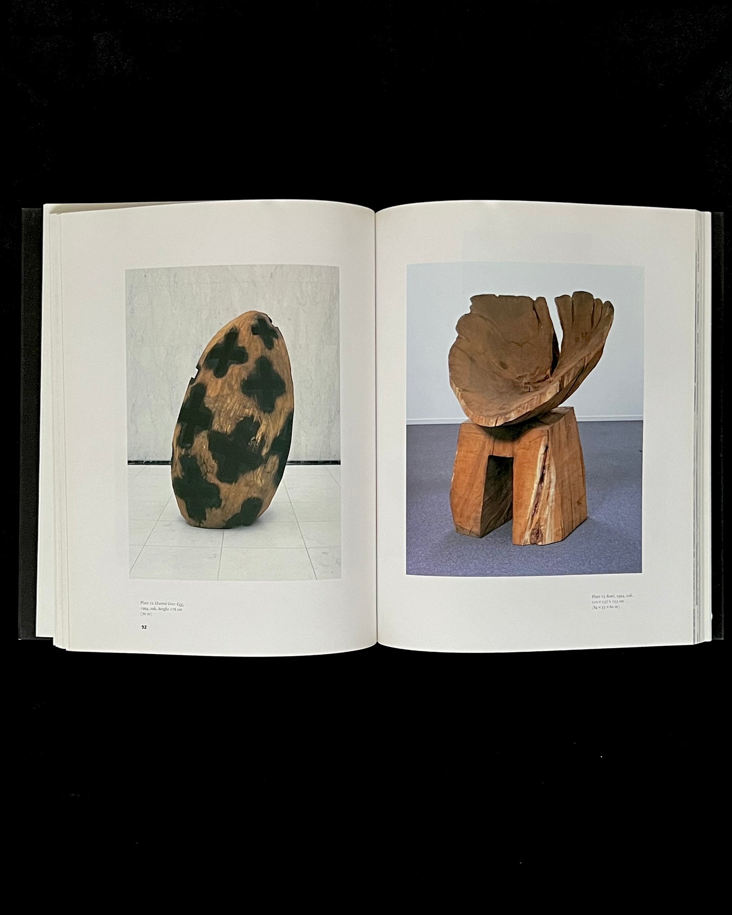 The Sculpture of David Nash