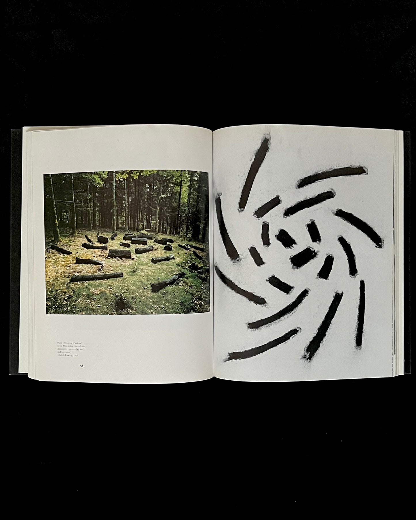The Sculpture of David Nash