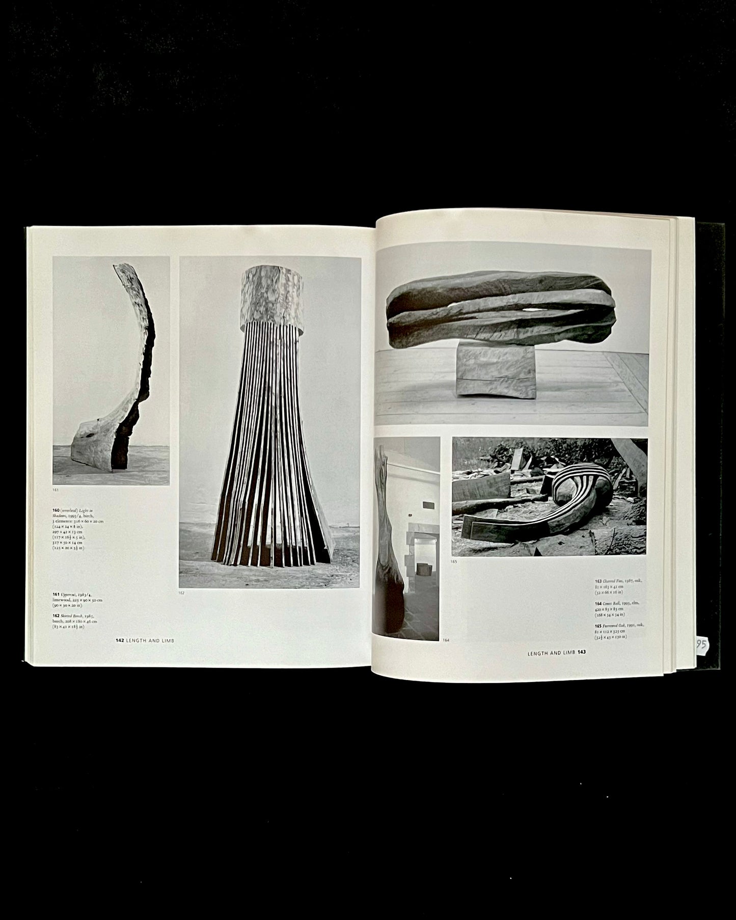 The Sculpture of David Nash