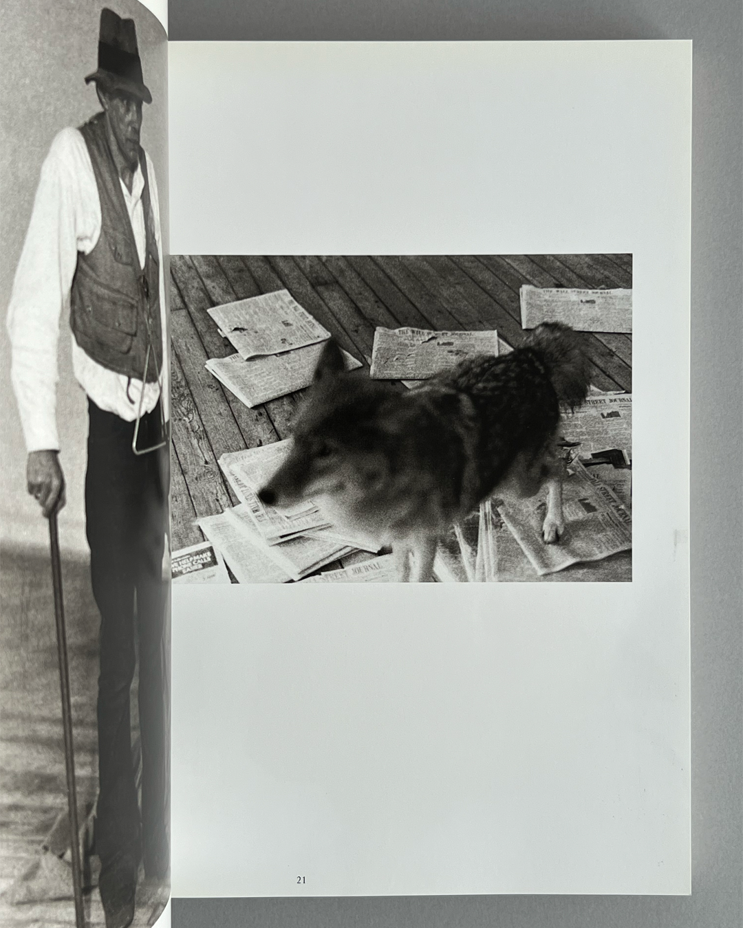 Joseph Beuys: Actions, Vitrines, Environments