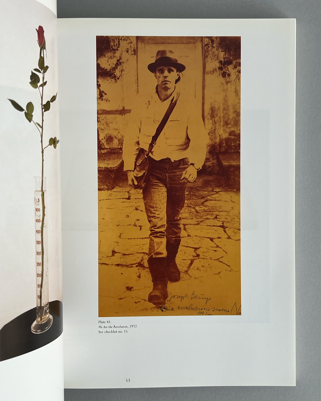 Joseph Beuys: Actions, Vitrines, Environments